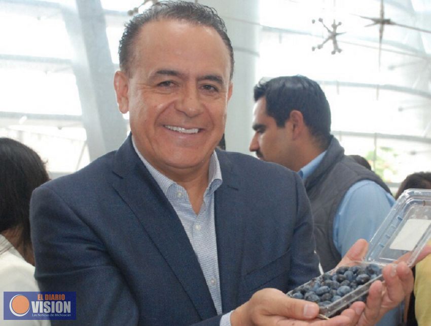 Michoacán posiciona a México como cuarto productor mundial de berries: Sigala