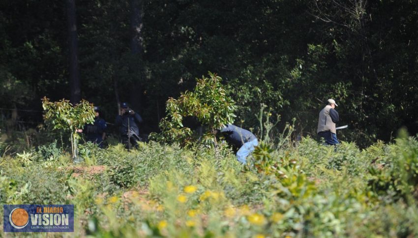 Trabajan para decretar Área Natural Protegida a 50 mil hectáreas en Michoacán