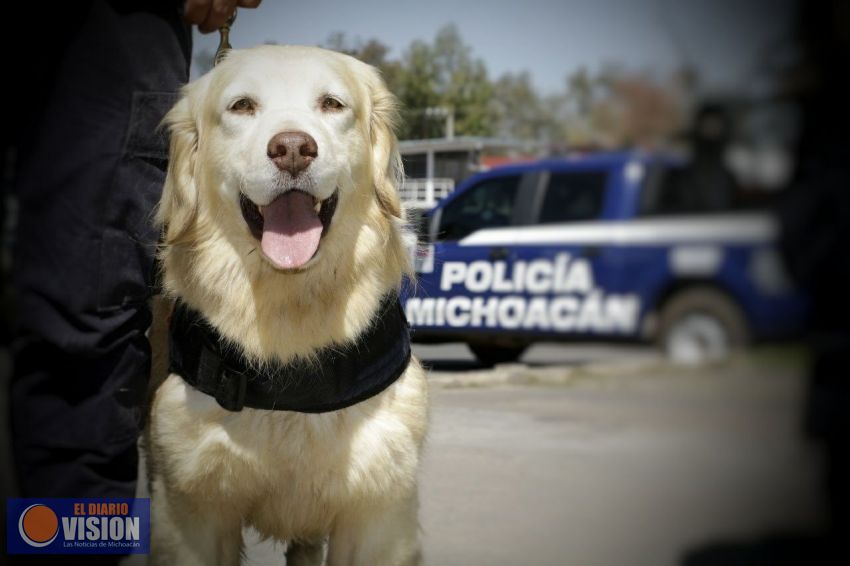 La Unidad Canina de la SSP coadyuva al fortalecimiento de la seguridad