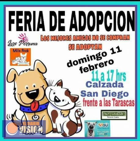 Feria de Adopción Canina, este domingo 11 de febrero