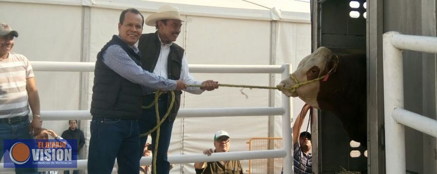 Llega el mejor ganado del país a la Expo Fiesta Ganadera Michoacán 2018