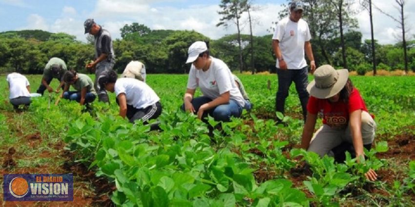 Vacante, ADR en la Costa michoacana: Sedrua