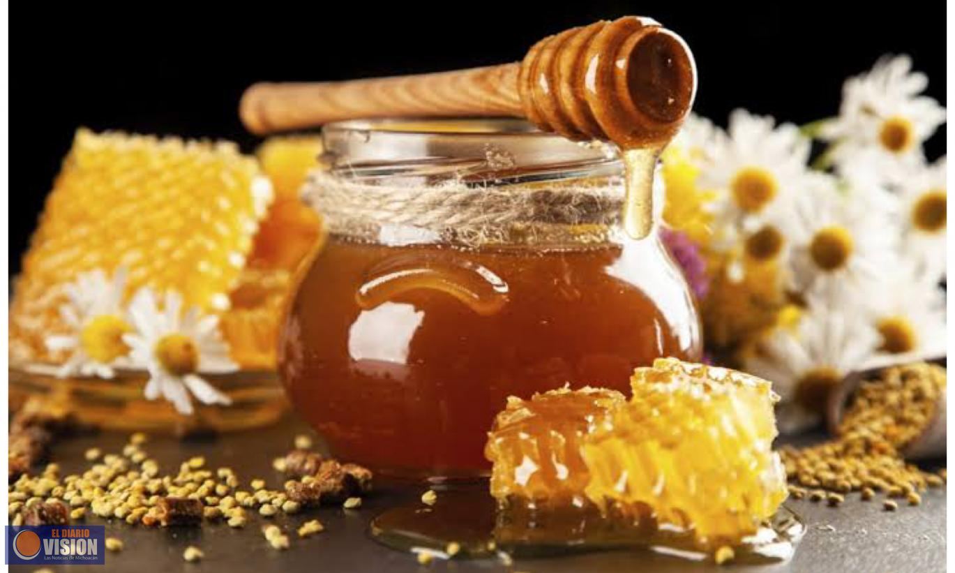 Michoacán exporta cerca de mil toneladas de miel, el oro de México 