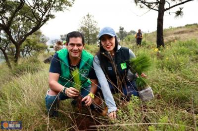 PVEM Michoacán planta 5 mil pinos y avanza hacia la meta de 20 mil árboles en el estado