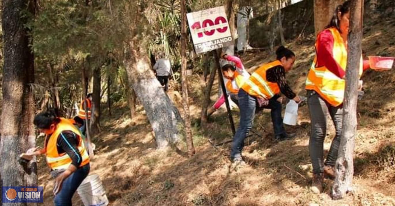 Inicia Gobierno de Soluciones, intensa campaña de limpieza en Zitácuaro