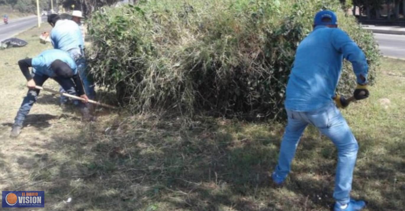 Parques y Jardines implementa operativos en áreas verdes