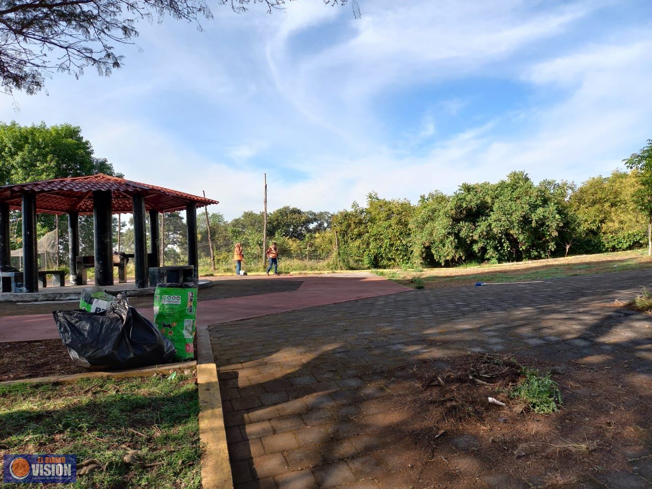 Gobierno Municipal realiza poda en camellones de la ciudad