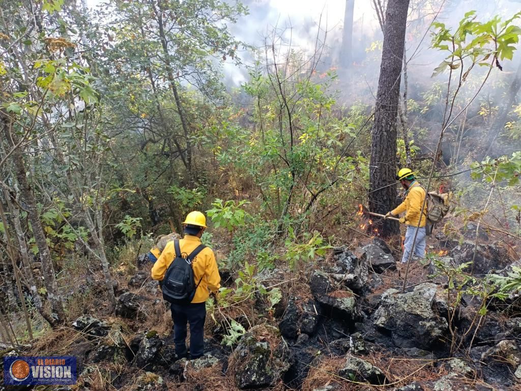 Sofocado el incendio en la zona de montaña del Parque Nacional