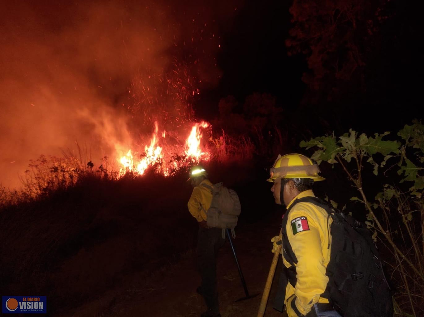Totalmente sofocado incendio forestal en el cerro de Jicalán
