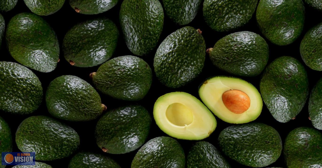Suspenden exportación del aguacate a Estados Unidos