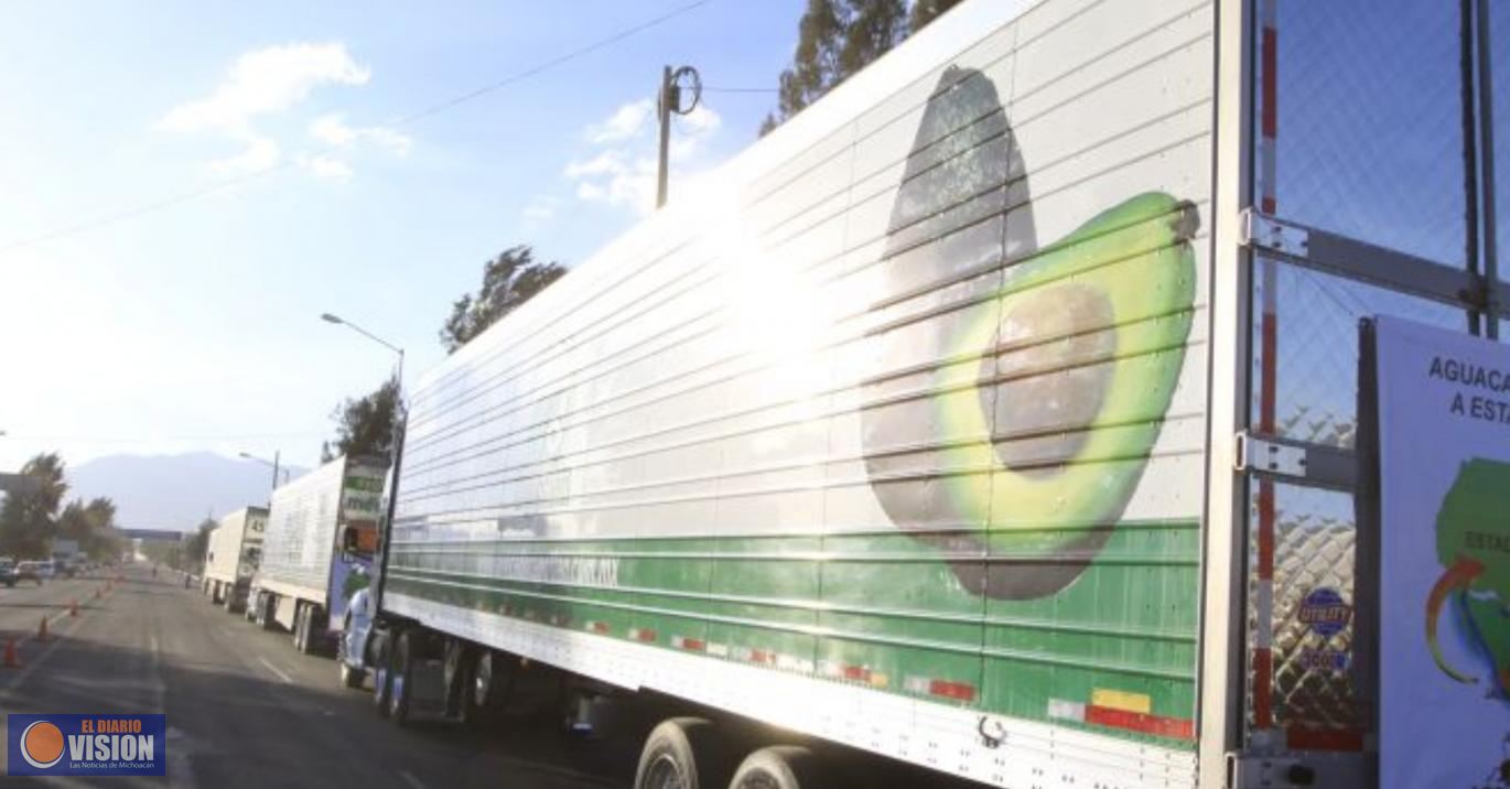 Caída de la economía, ocasiona repentina cancelación, de exportar aguacate, a Estados Unidos