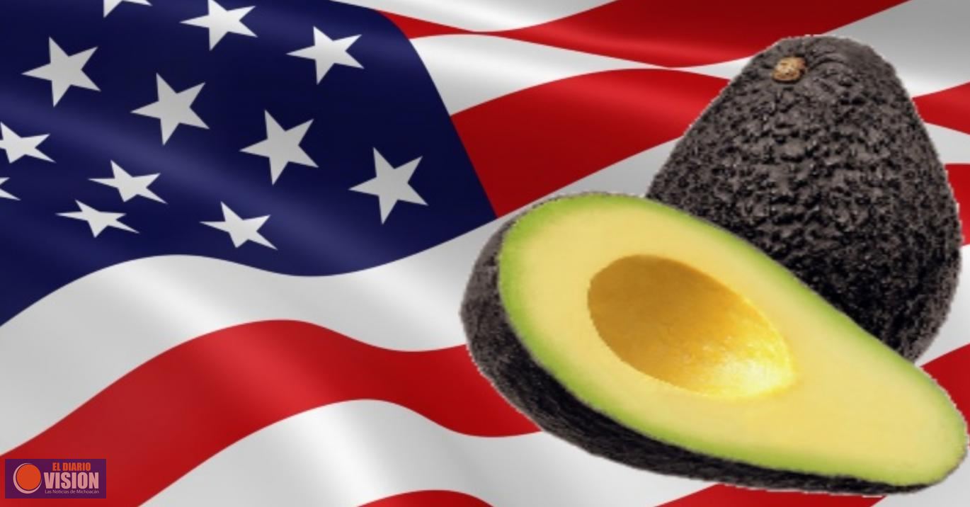Hasta que haya seguridad, habrá envios de aguacate, condiciona Estados Unidos