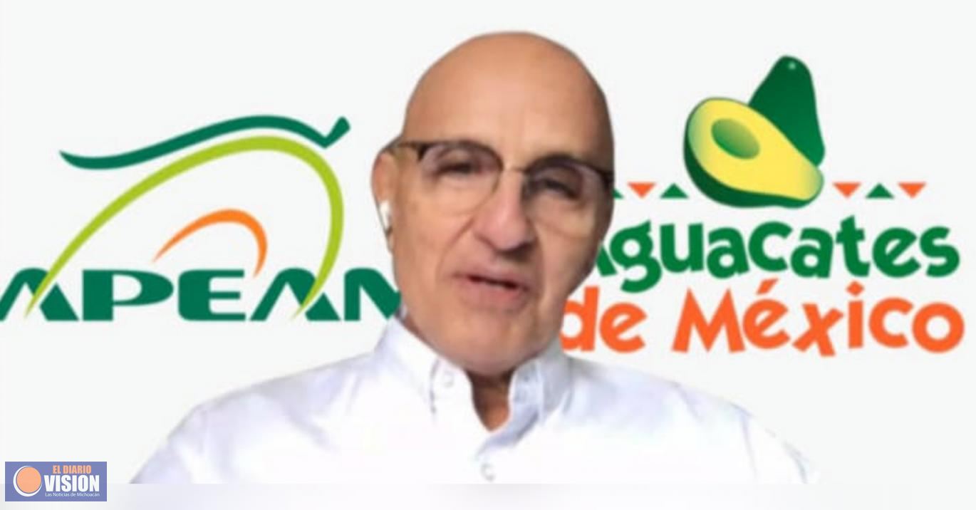 APEAM informa sobre avance en negociaciones sobre envíos de aguacate a EU