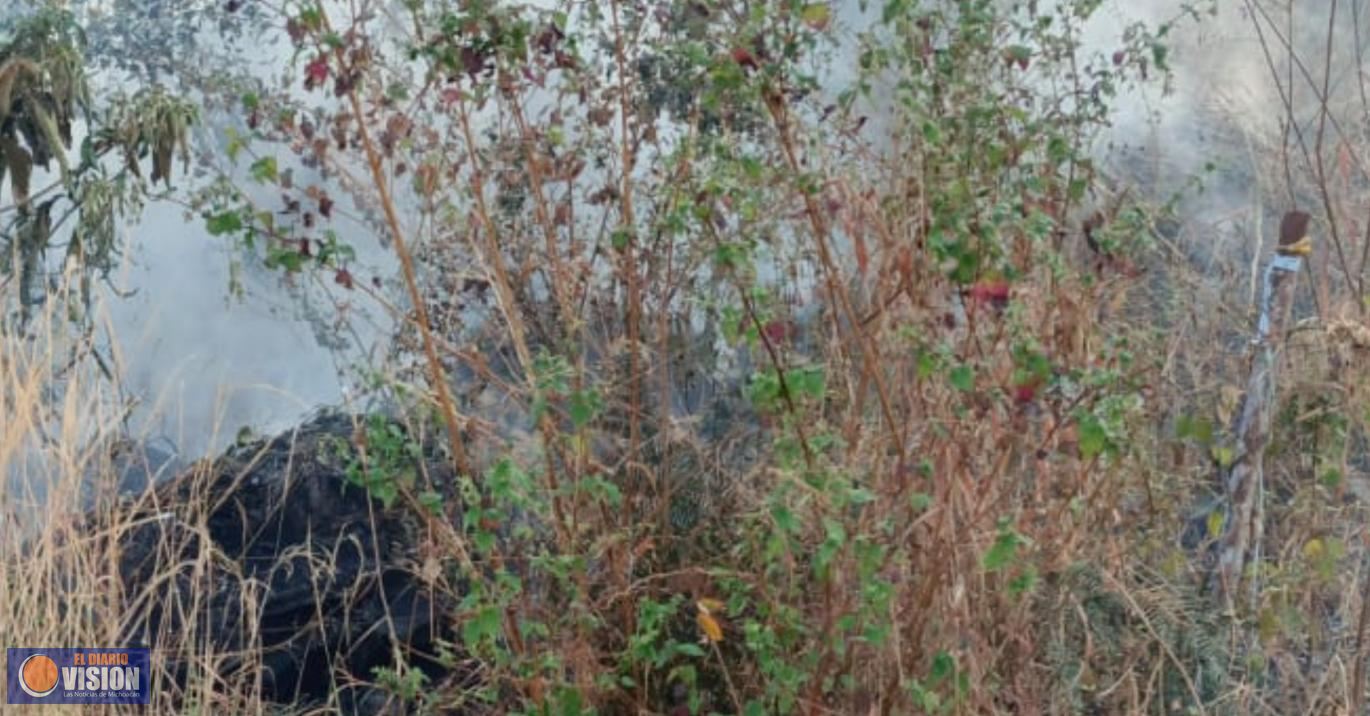 Atienden de manera oportuna incendio en el Zapién