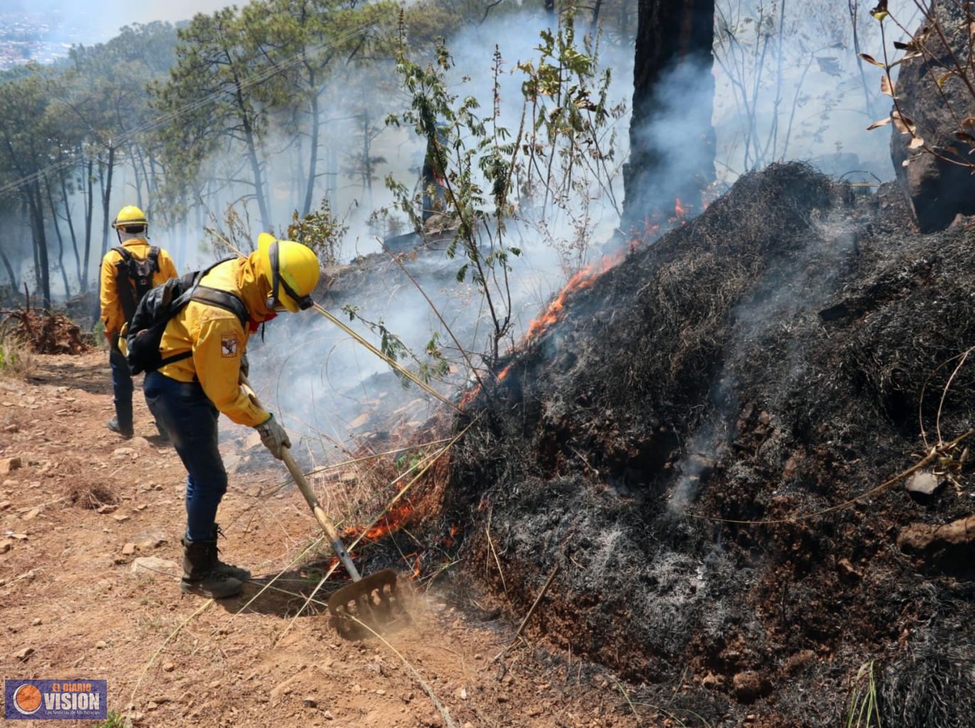 Brigadistas controlan incendio forestal en el cerro de La Cruz