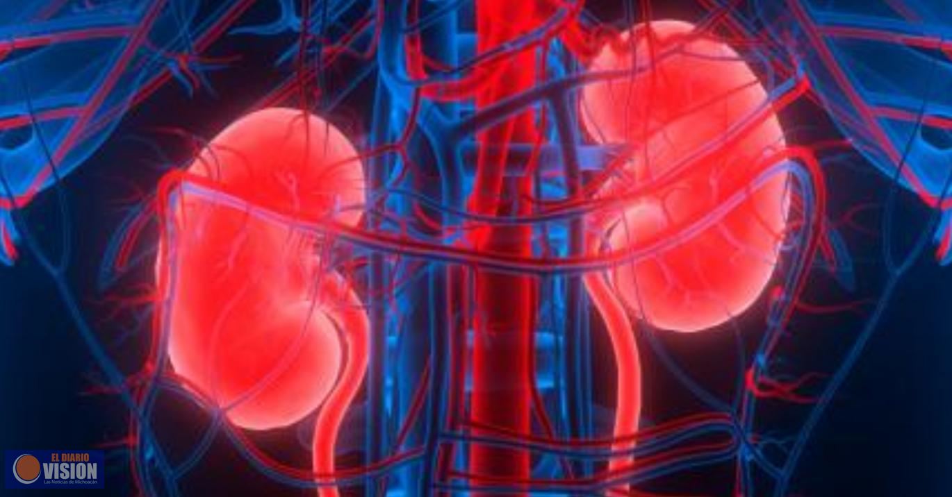 Uno de cada 10 adultos padecen Enfermedad Renal Crónica: SSM