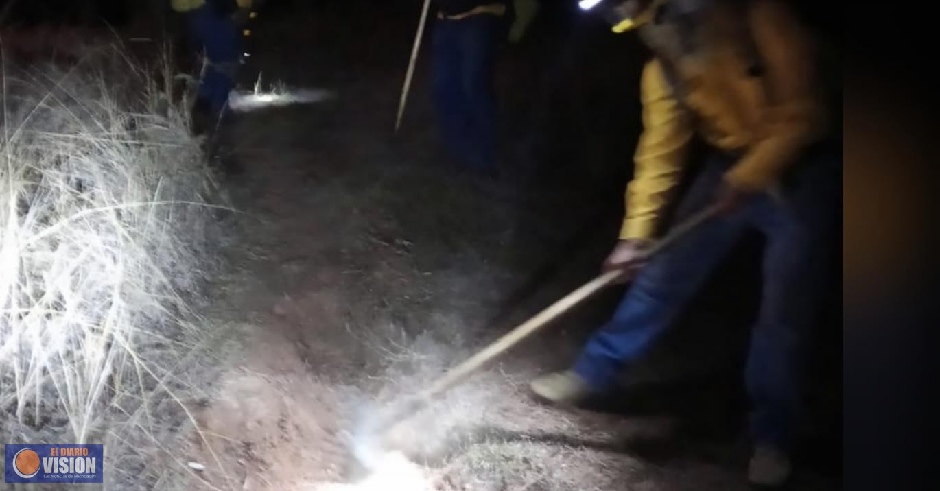 Esta madrugada se registró incendio forestal en el Cerro de Tejerías