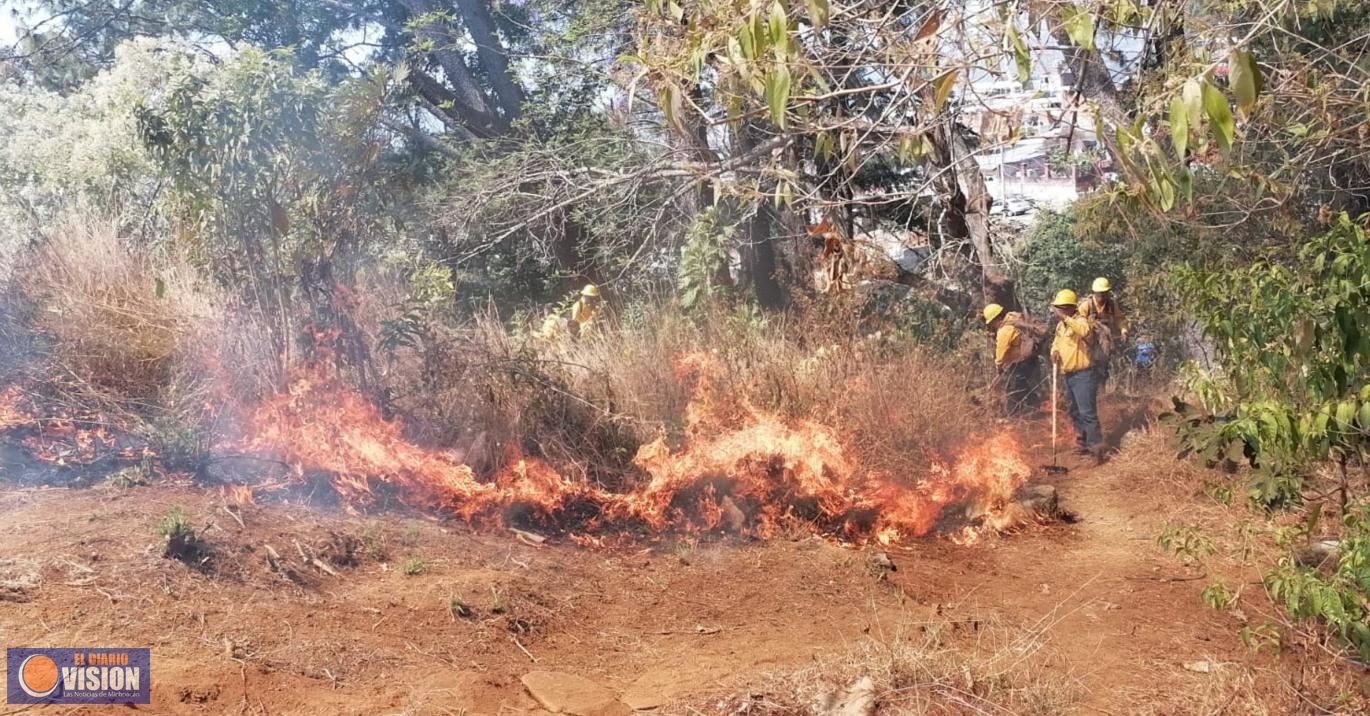 Brigadistas atienden incendio en el Cerro de la Cruz