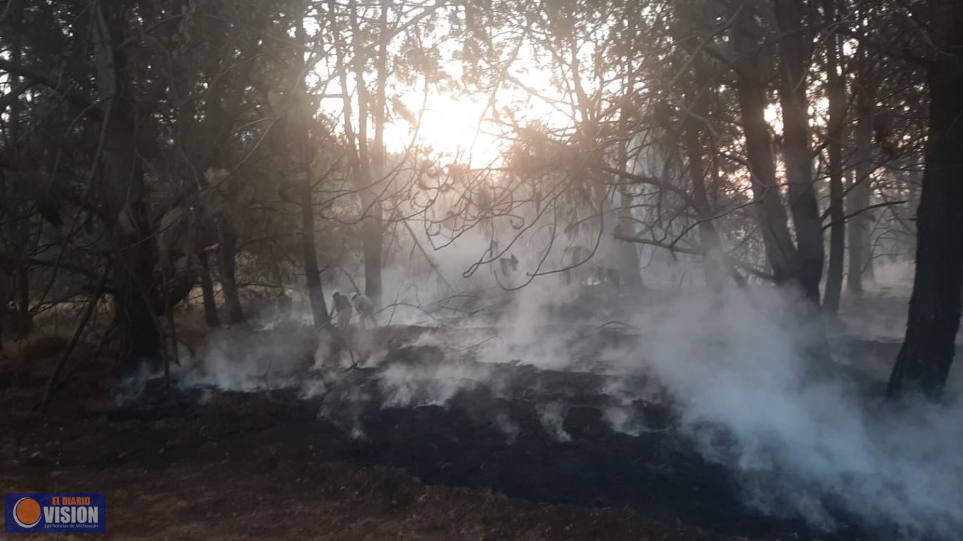 Atienden Incendio en barda perimetral de Pemex
