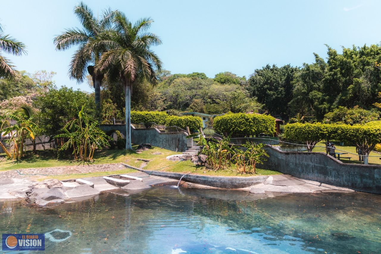 Un nuevo chapoteadero forma parte de los atractivos  del Zoocriadero el Sabino en estas vacaciones 