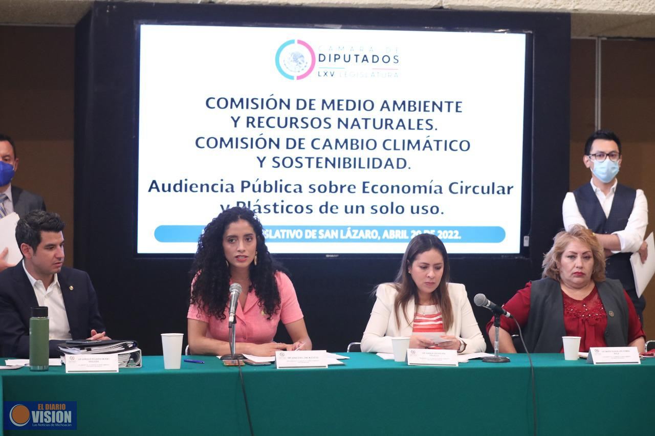 Realizan segunda audiencia sobre regulación de plásticos de un solo uso