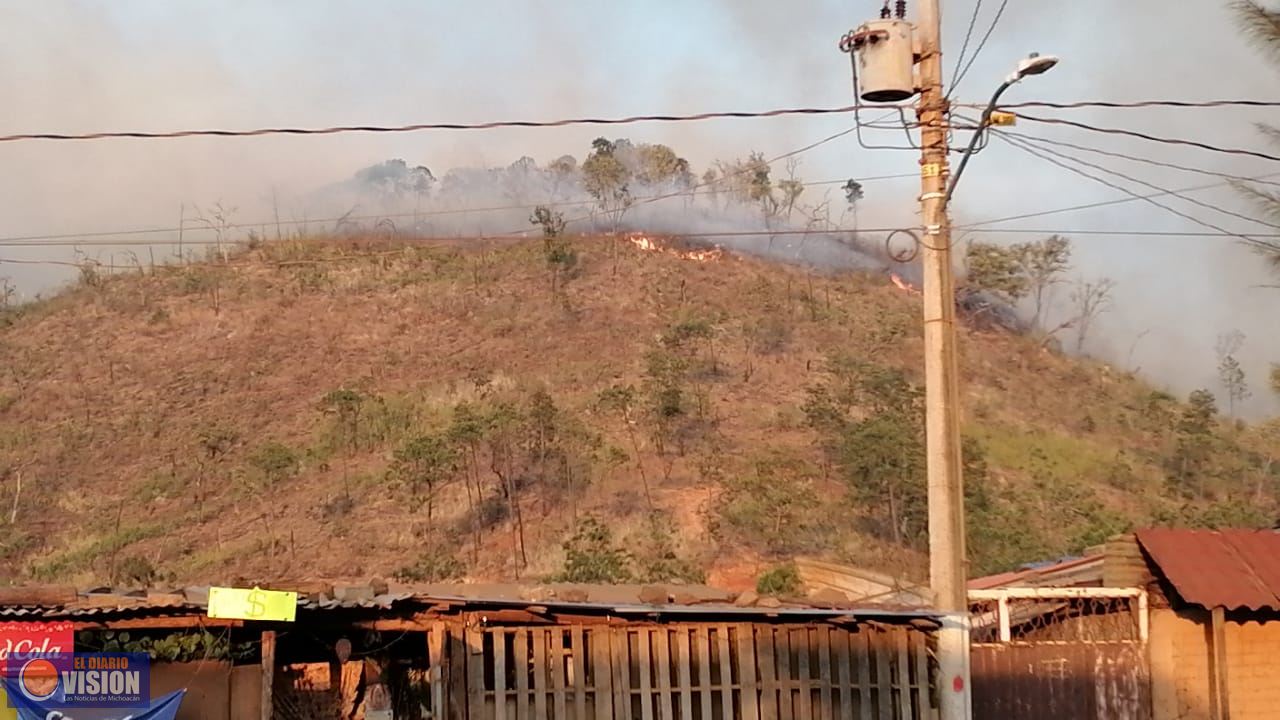 Brigadistas controlan el incendio del cerro de La Charanda