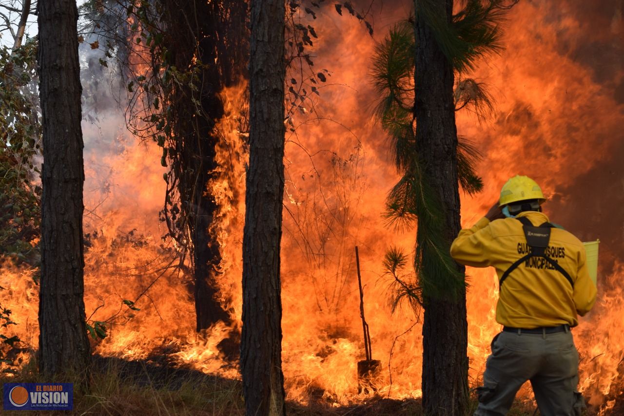 Gobiernos y ciudadanos suman esfuerzos y logran controlar incendio forestal en Uruapan
