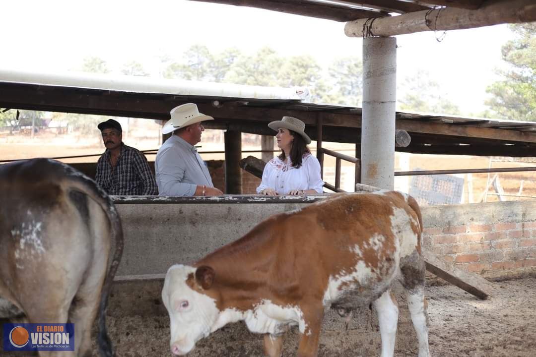 Macarena Chávez Flores se reúne con el alcalde de Madero, Yonni Alcauter Ibarra