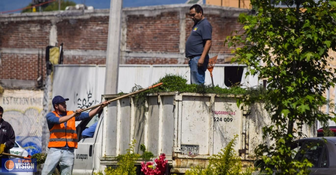 Parques y Jardines trabaja en poda y retiro de ramas por temporada de lluvias