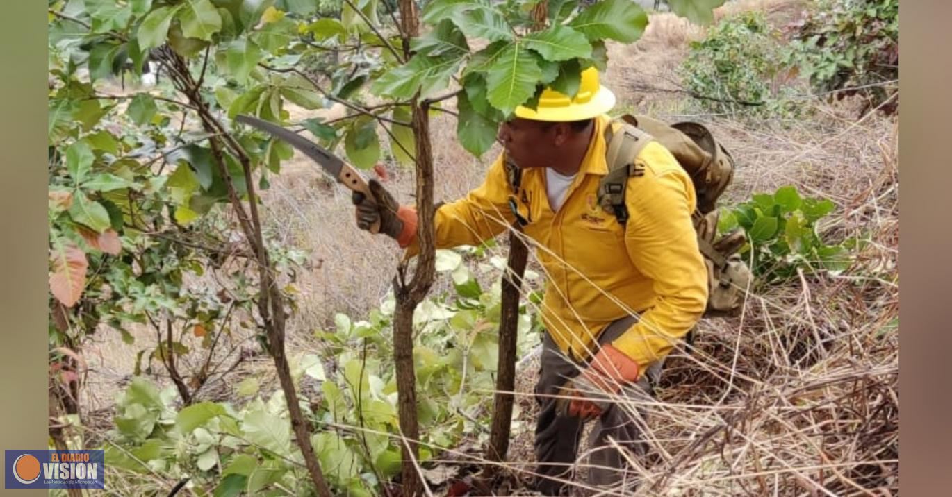 Gobierno de Uruapan, ahorrará 3 millones de pesos con  el programa forestación focalizada
