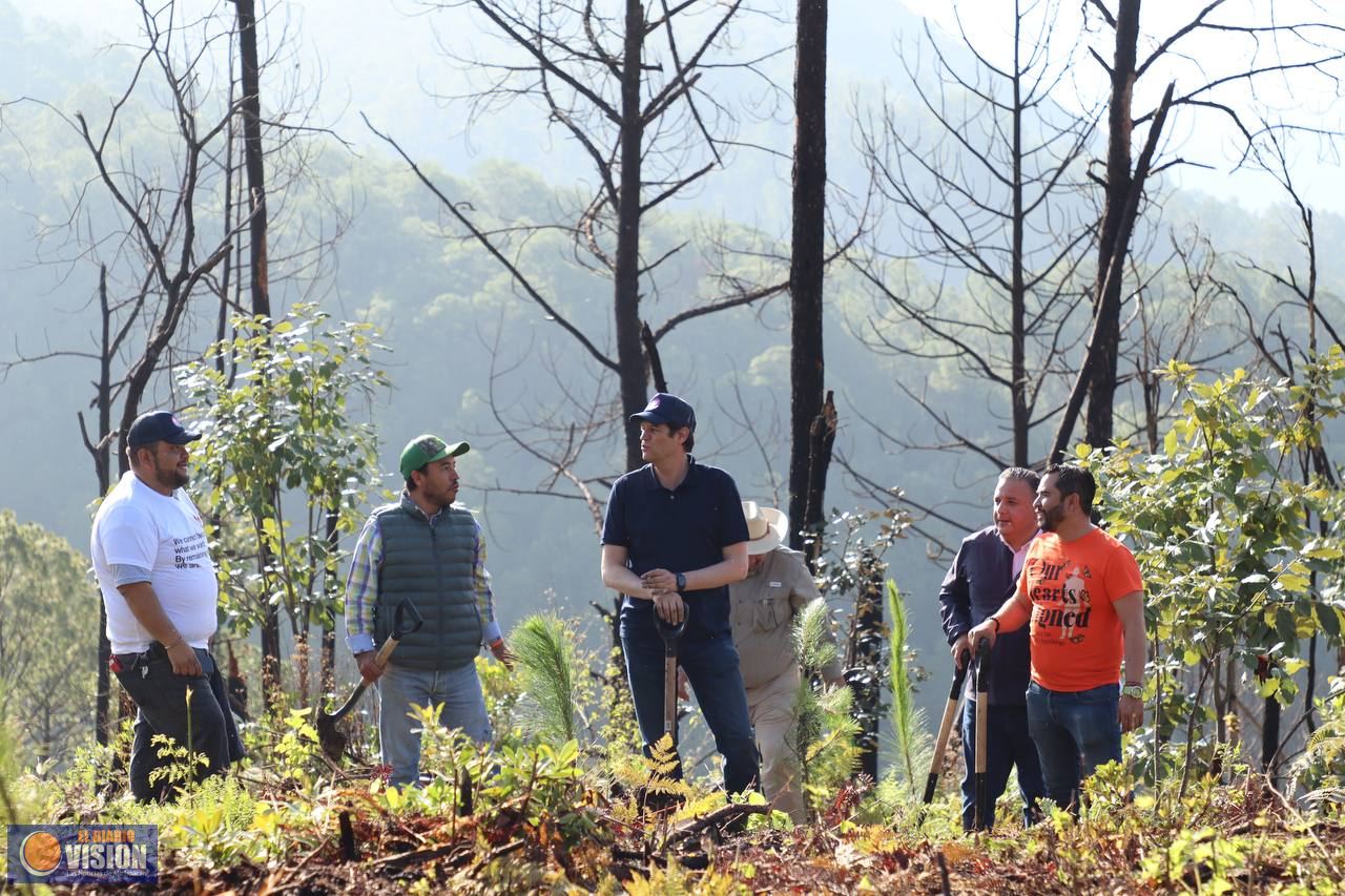 Con reforestación, recuperamos nuestros bosques en Morelia: Alfonso Martínez