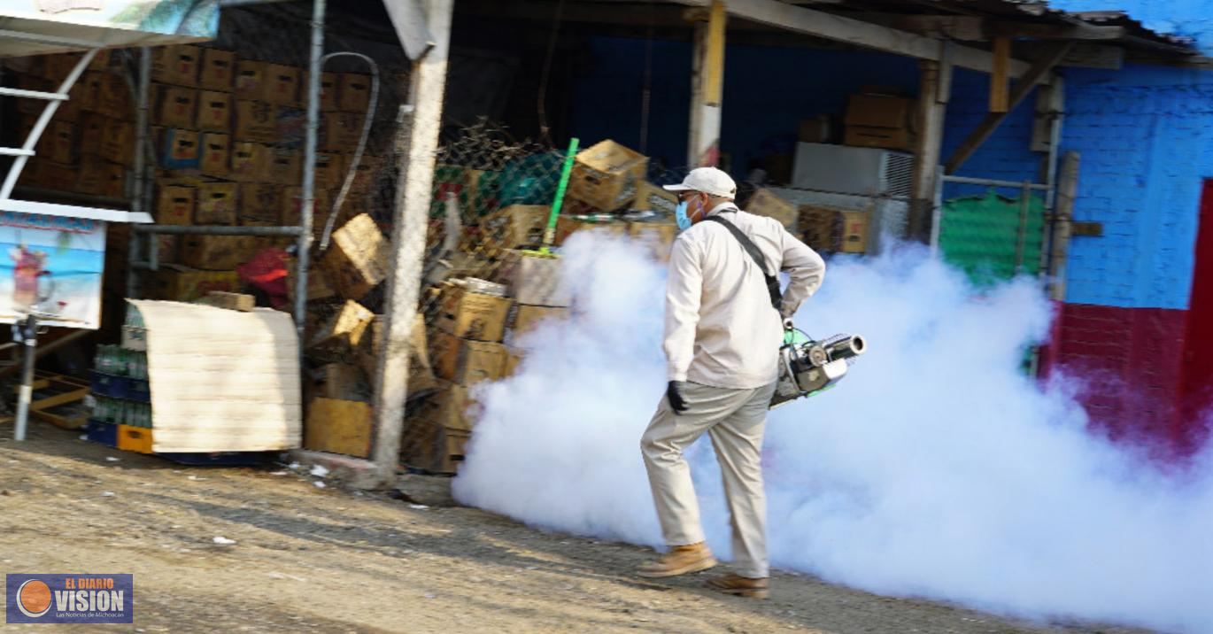 Michoacán sin registro de defunciones por dengue