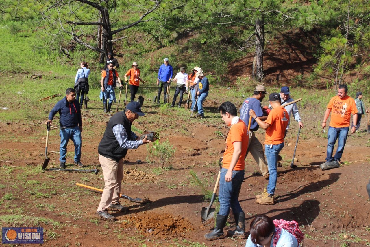 Ayuntamiento de Morelia va por el rescate de áreas verdes en el municipio
