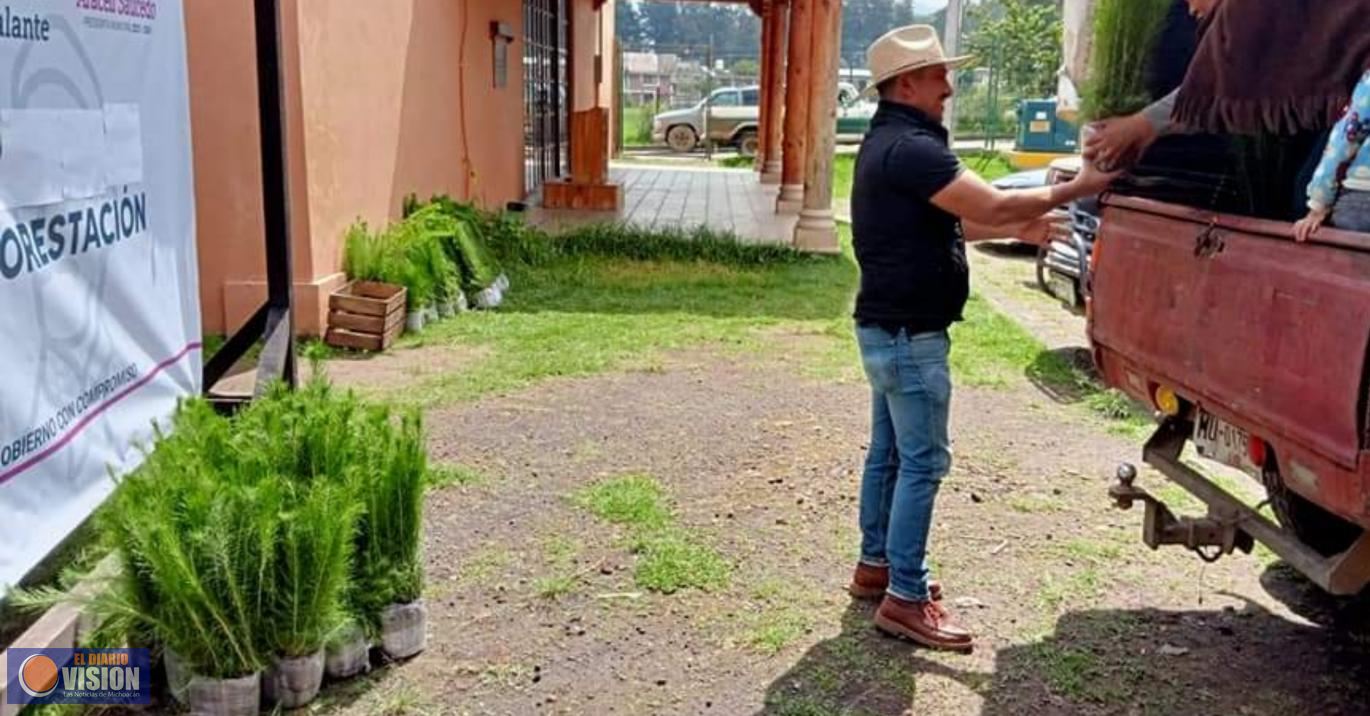 El gobierno de Salvador Escalante inicia programa de Reforestación