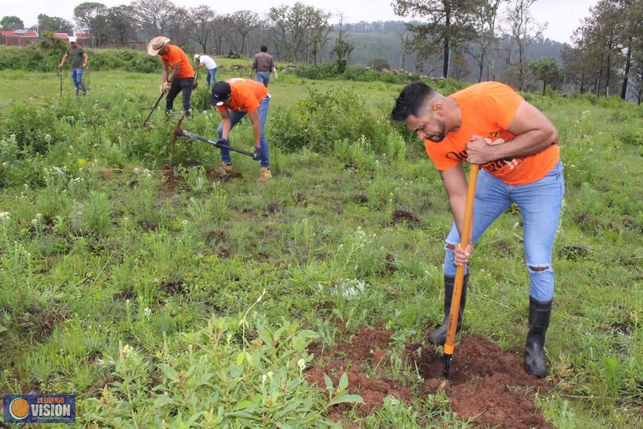 Con Programa de Reforestación, SADERMA recupera bosque en Morelia