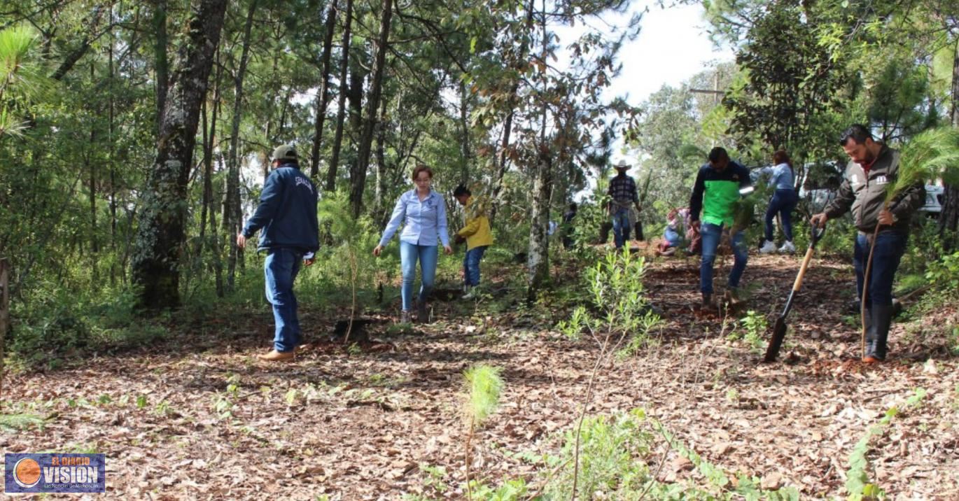 Gobierno Municipal recupera bosque que sufrió deforestación en San Miguel del Monte