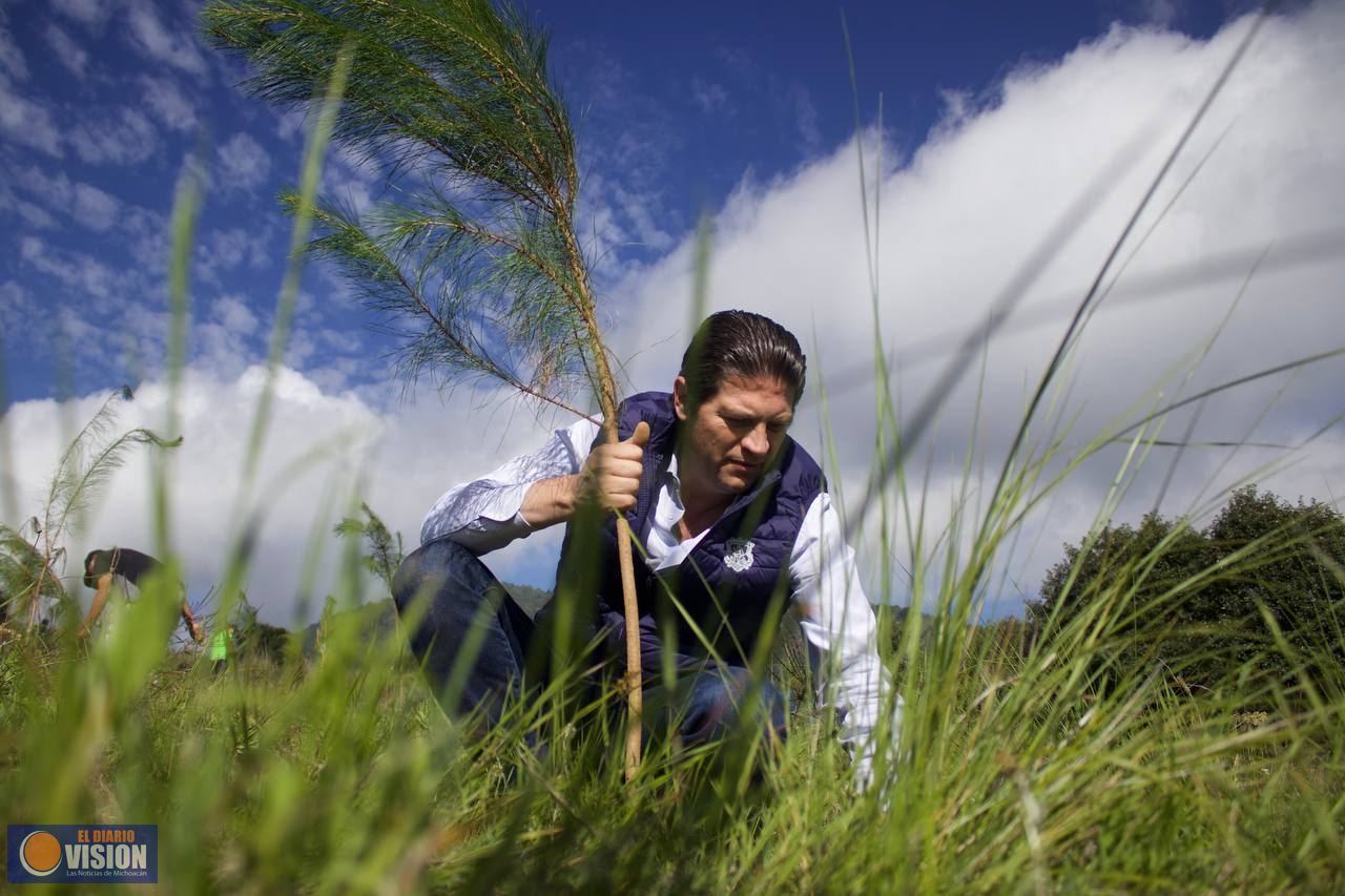 Alfonso Martínez encabezó una jornada de reforestación en el Cerro del Águila 