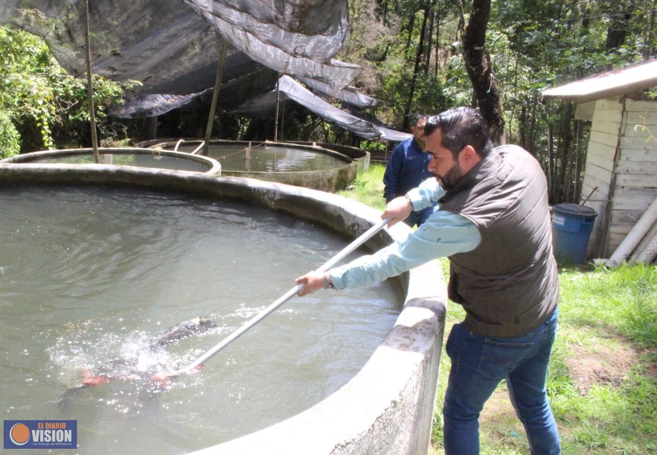 SADERMA rescata granjas acuícolas con siembra de trucha y tilapia