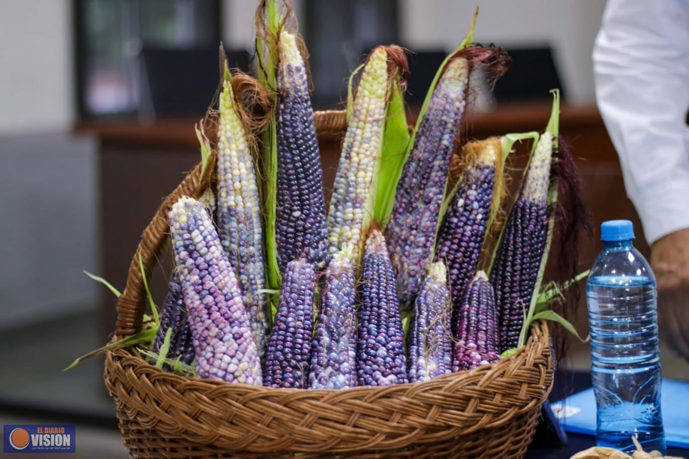 Invitan al XIII Festival del Elote Azul en Corupo