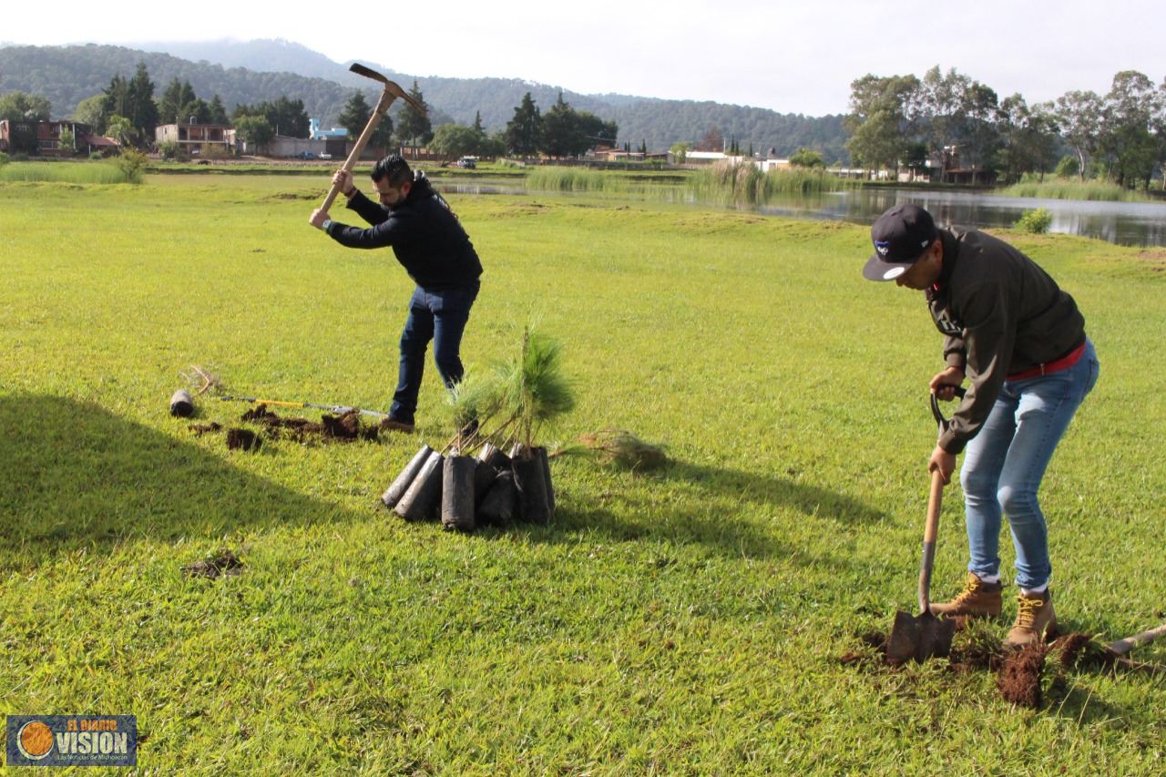 SADERMA reforesta segunda etapa de nuevo bosque en Morelia