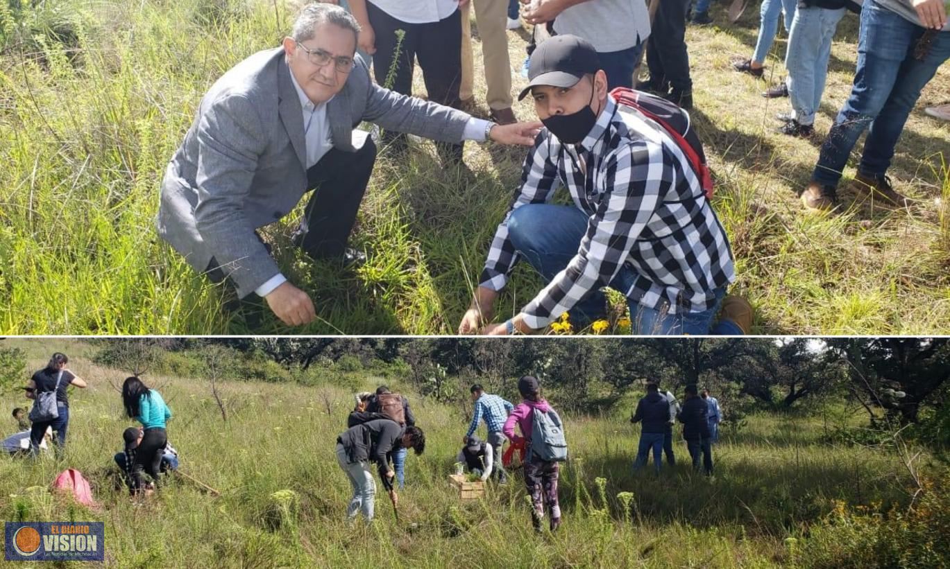 En el Tec Ciudad Hidalgo realizan su primera etapa de reforestación 
