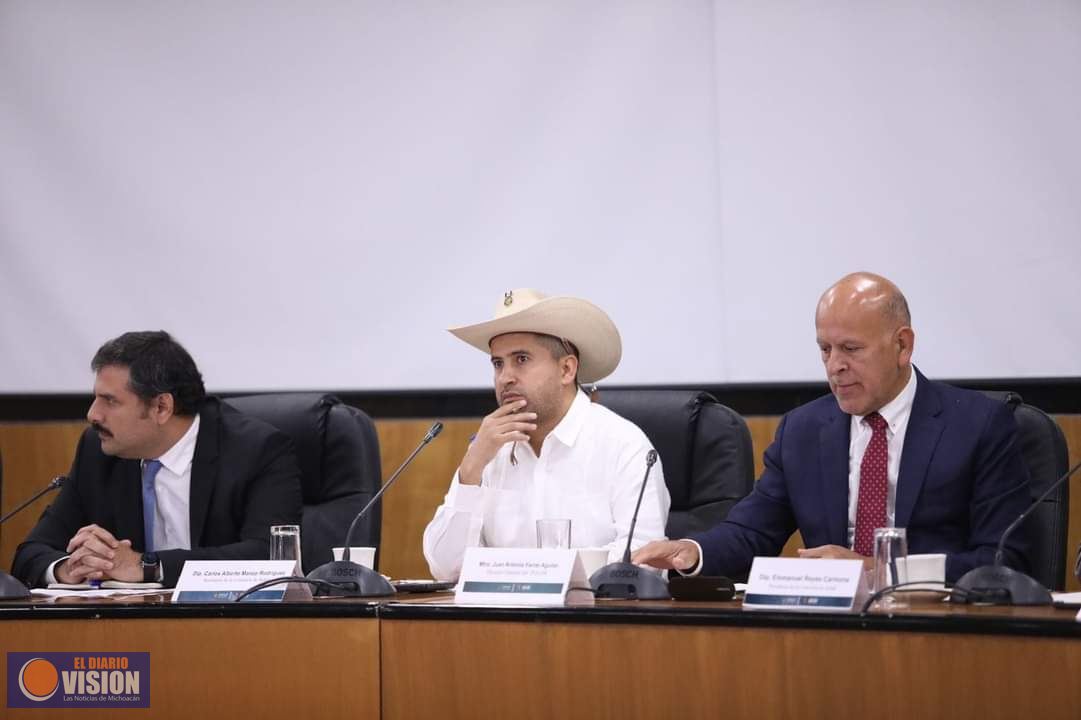 Carlos Manzo, pidió al INSABI revisar abasto de medicamentos en  hospital regional de Uruapan.