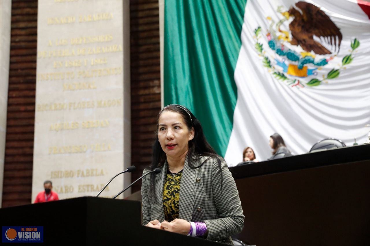 Plantean que partidos consideren a personas con discapacidad para senadurías y diputaciones 
