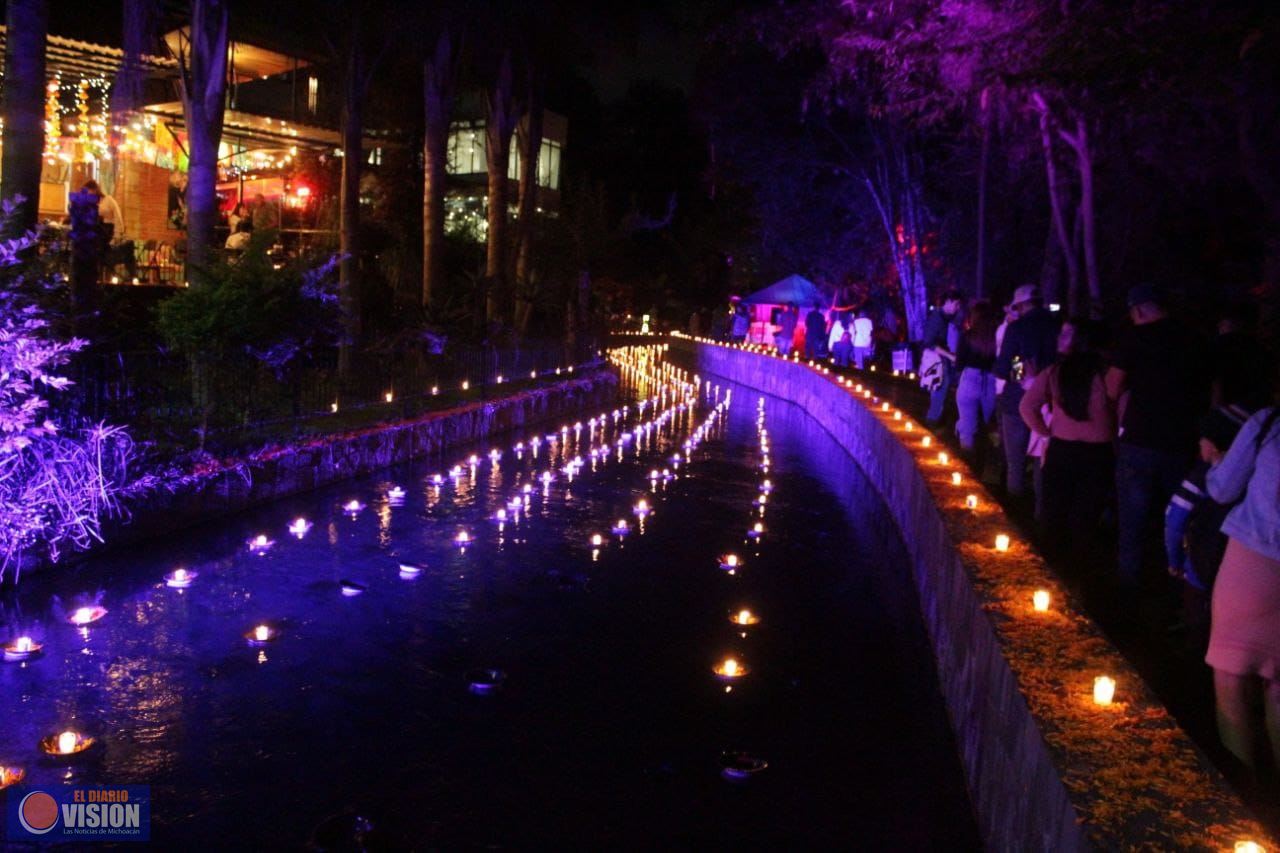 Supera expectativas, XV Festival de Velas