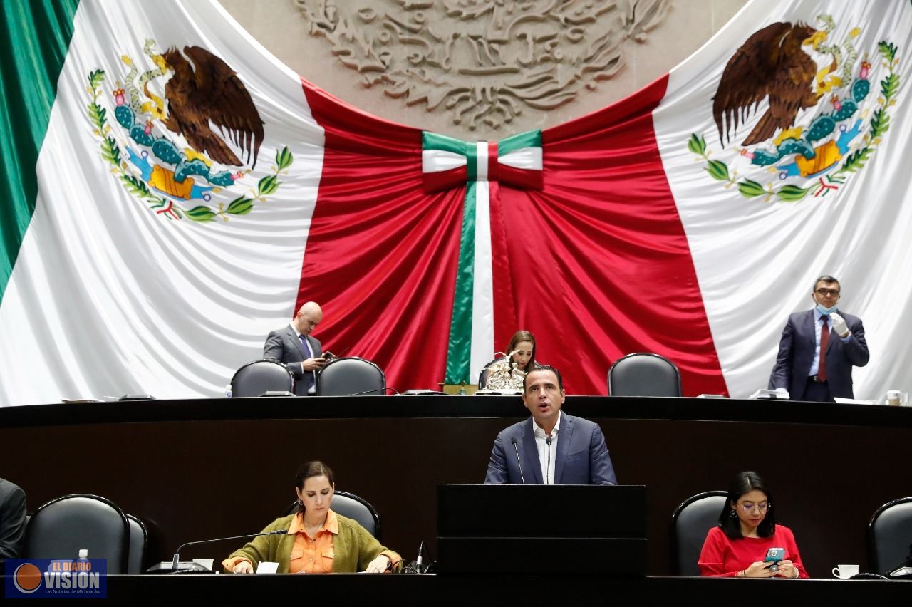 El Pleno de la Cámara de Diputados aprobó reforma para salvaguardar la salud de turistas