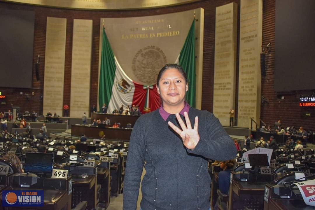 El PEF 2023 es un presupuesto justo, destinado a los sectores más vulnerables: Celeste Ascencio