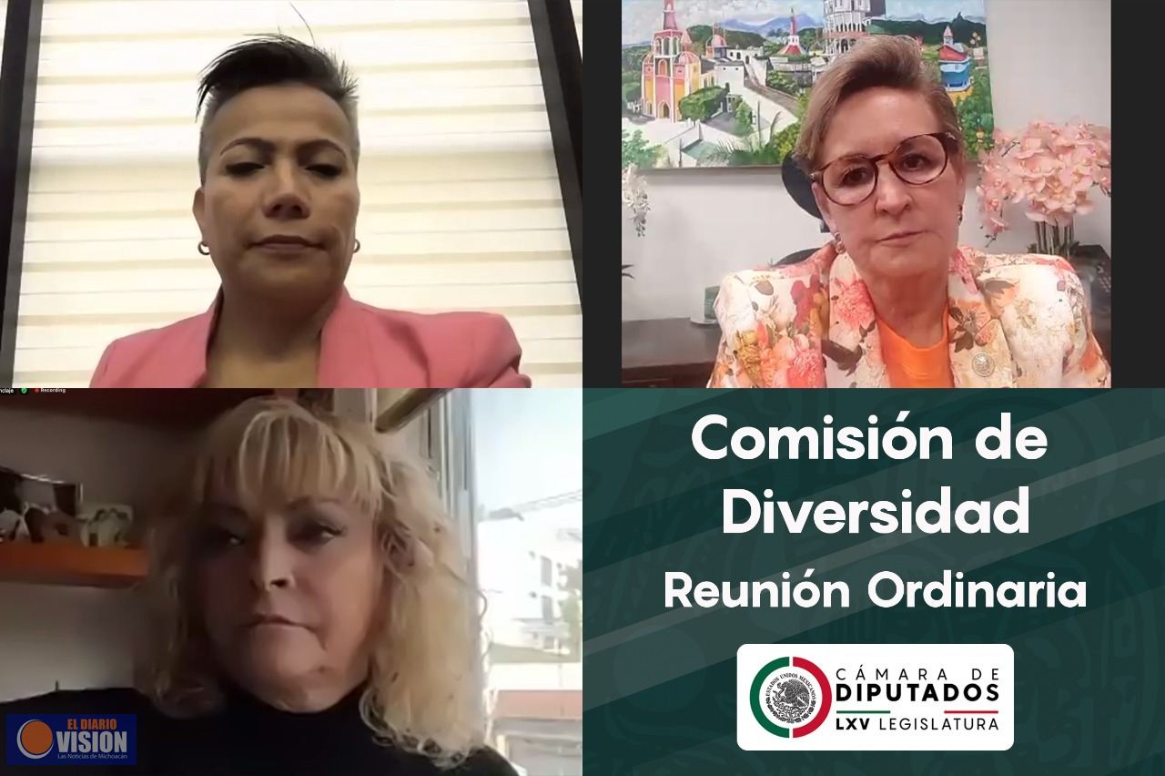 Comisión aprobó incluir la categoría de diversidad sexual en el Premio Estatal de la Juventud