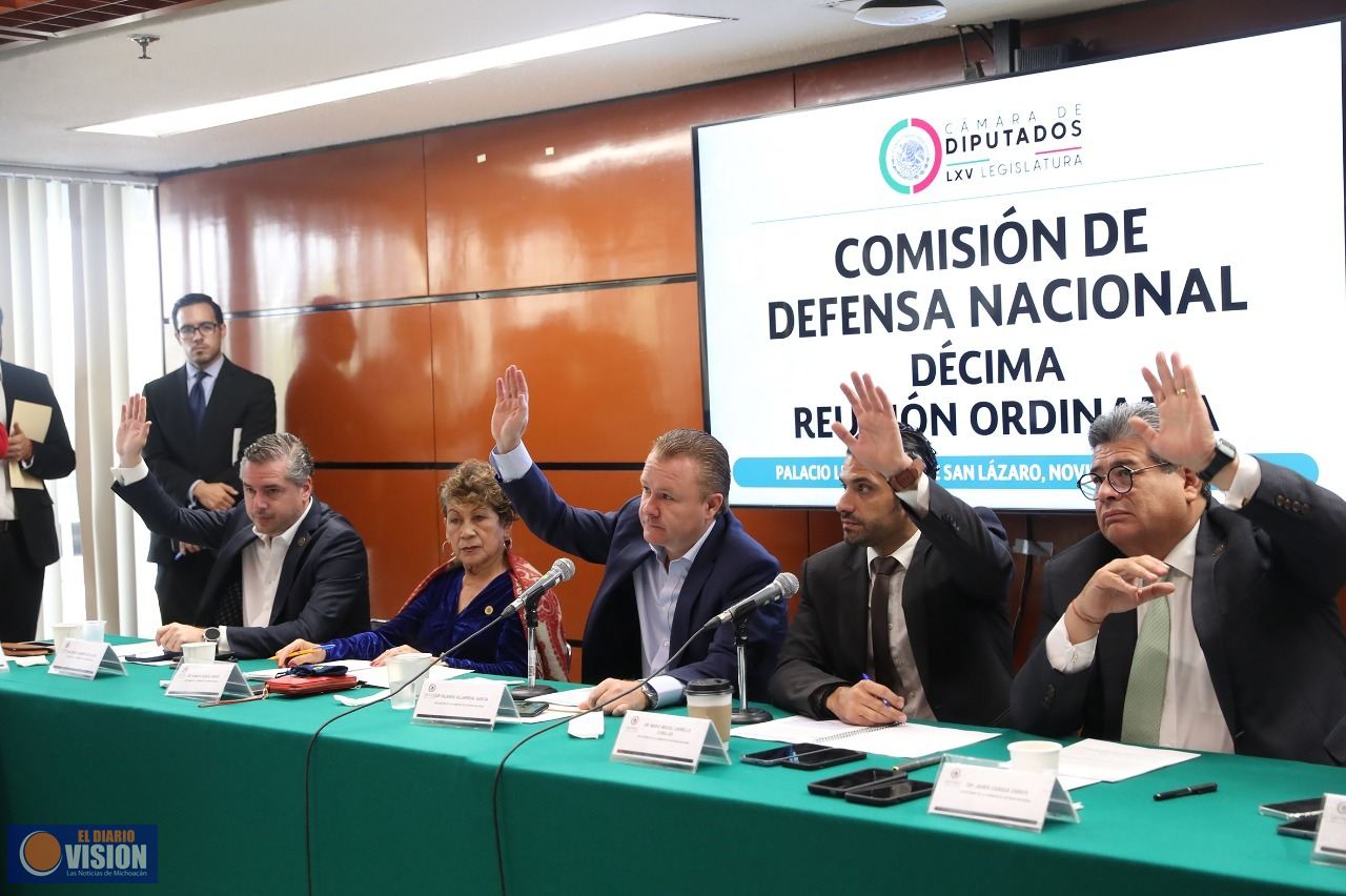 Comisión Defensa Nacional analiza iniciativa para que policías porten su arma fuera de servicio