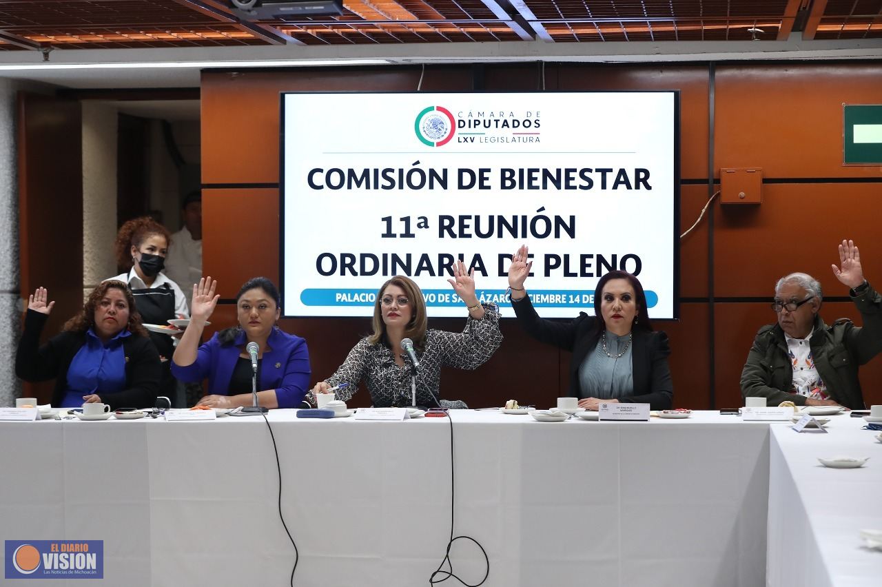 Comisión de Bienestar aprobó dictamen que reforma la Ley General de Desarrollo Social
