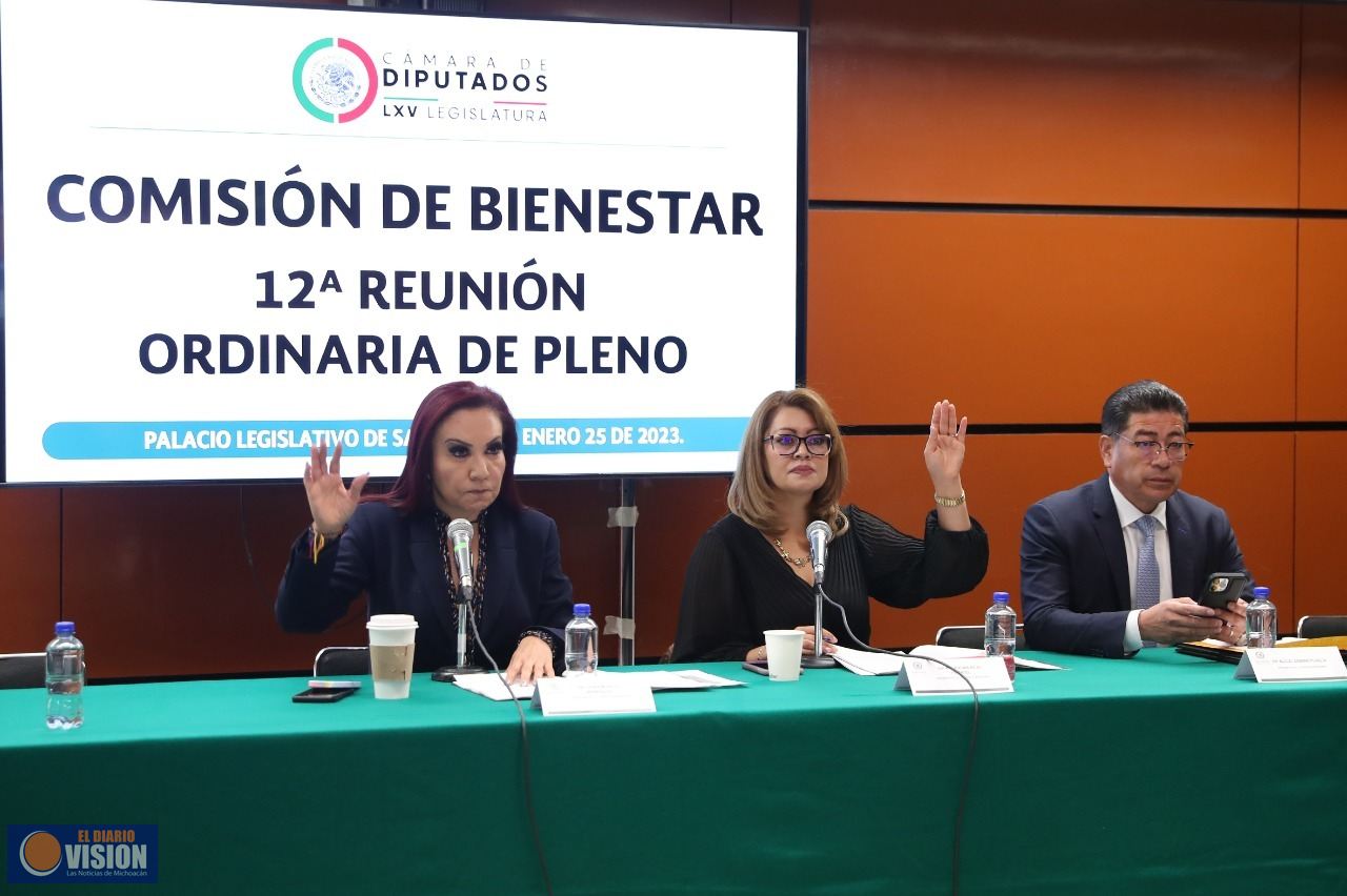 La Comisión de Bienestar define ruta de actividades de sus grupos de trabajo